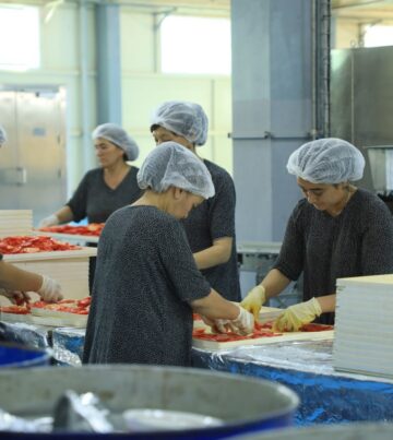 Agro Processing Group