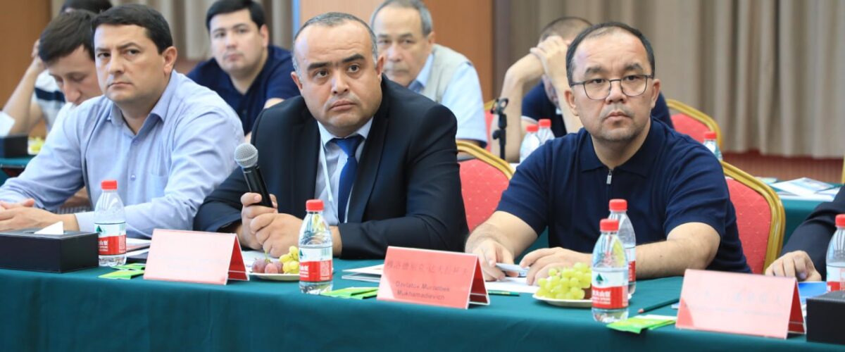 Сурхондарё ва Урумчи 4
