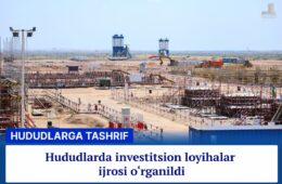 loyihalar ijrosi